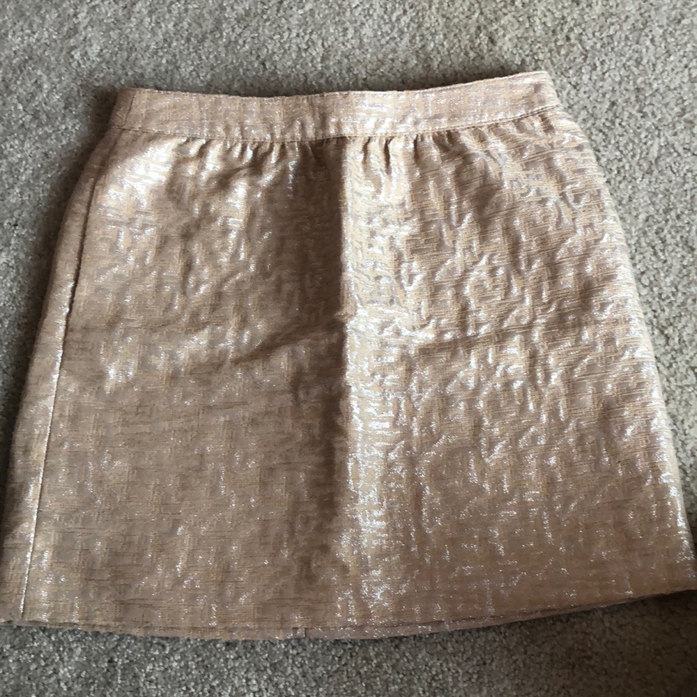 Ann Taylor Loft, champagne/silver, pencil skirt.
